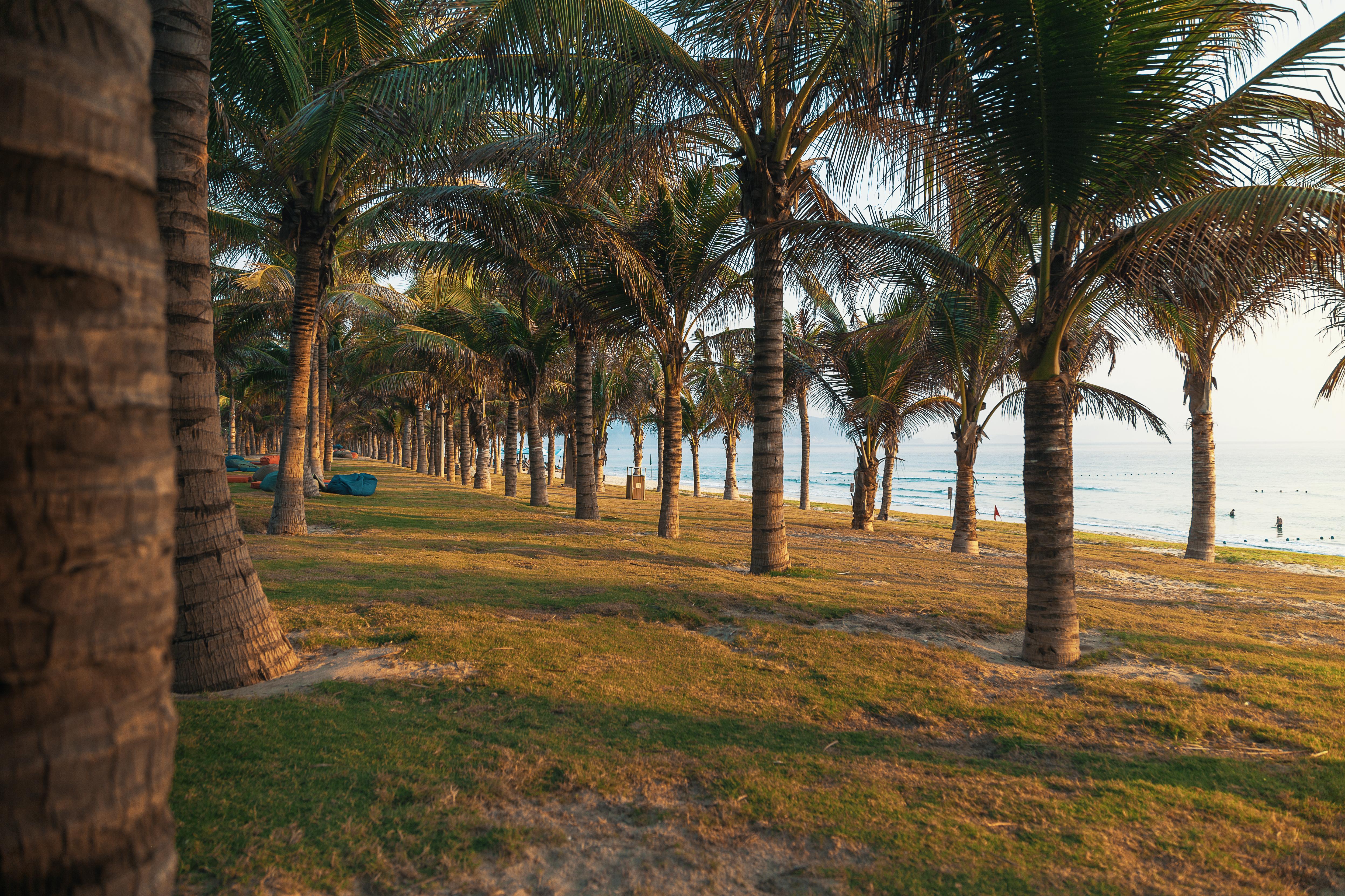 Duyen Ha Resort Cam Ranh Luaran gambar
